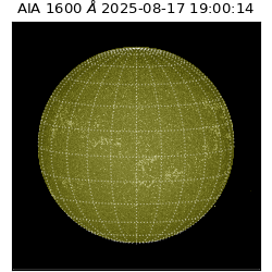 saia - 2025-08-17T19:00:14.129000