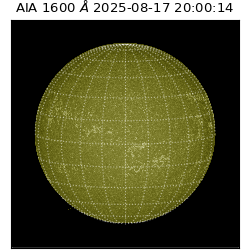 saia - 2025-08-17T20:00:14.132000