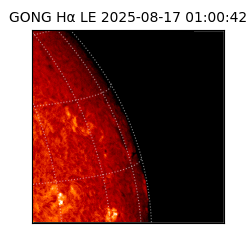 gong - 2025-08-17T01:00:42
