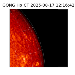 gong - 2025-08-17T12:16:42