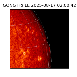 gong - 2025-08-17T02:00:42