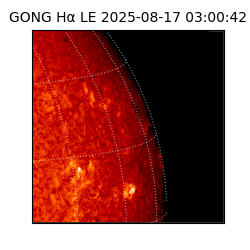 gong - 2025-08-17T03:00:42