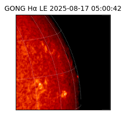 gong - 2025-08-17T05:00:42