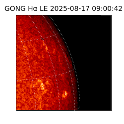 gong - 2025-08-17T09:00:42