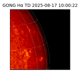 gong - 2025-08-17T10:00:22