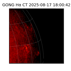 gong - 2025-08-17T18:00:42