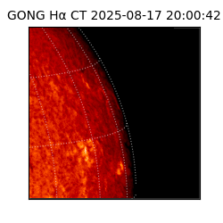 gong - 2025-08-17T20:00:42