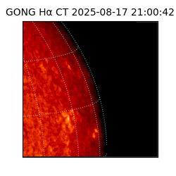 gong - 2025-08-17T21:00:42