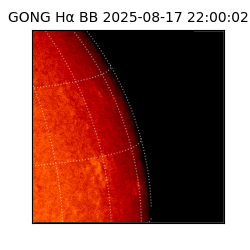 gong - 2025-08-17T22:00:02