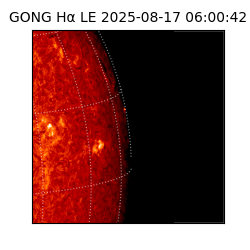gong - 2025-08-17T06:00:42