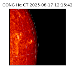 gong - 2025-08-17T12:16:42