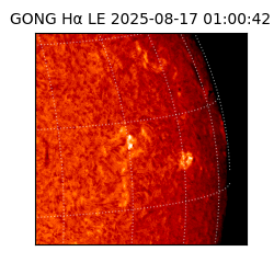 gong - 2025-08-17T01:00:42