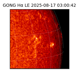 gong - 2025-08-17T03:00:42