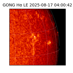 gong - 2025-08-17T04:00:42