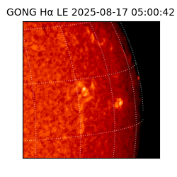 gong - 2025-08-17T05:00:42