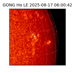 gong - 2025-08-17T06:00:42
