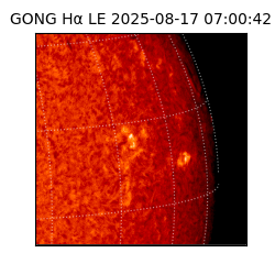 gong - 2025-08-17T07:00:42