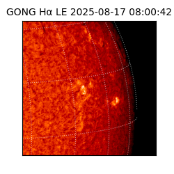 gong - 2025-08-17T08:00:42