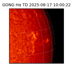 gong - 2025-08-17T10:00:22