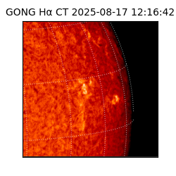gong - 2025-08-17T12:16:42