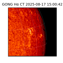 gong - 2025-08-17T15:00:42