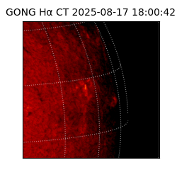 gong - 2025-08-17T18:00:42