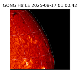 gong - 2025-08-17T01:00:42