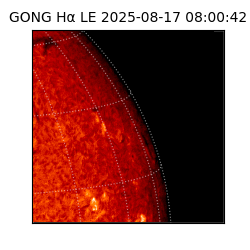 gong - 2025-08-17T08:00:42