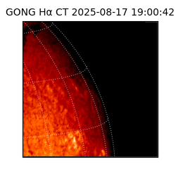 gong - 2025-08-17T19:00:42