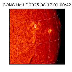 gong - 2025-08-17T01:00:42