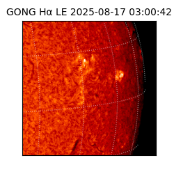 gong - 2025-08-17T03:00:42