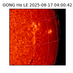 gong - 2025-08-17T04:00:42