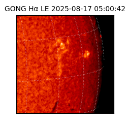 gong - 2025-08-17T05:00:42