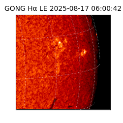 gong - 2025-08-17T06:00:42