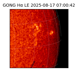 gong - 2025-08-17T07:00:42