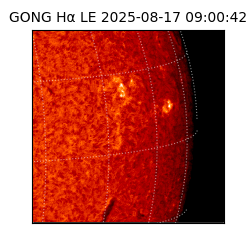 gong - 2025-08-17T09:00:42