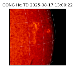 gong - 2025-08-17T13:00:22