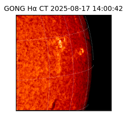 gong - 2025-08-17T14:00:42