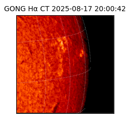 gong - 2025-08-17T20:00:42
