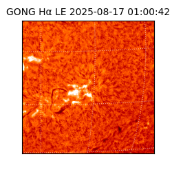 gong - 2025-08-17T01:00:42