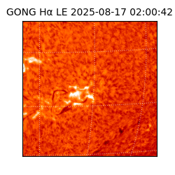 gong - 2025-08-17T02:00:42