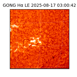 gong - 2025-08-17T03:00:42