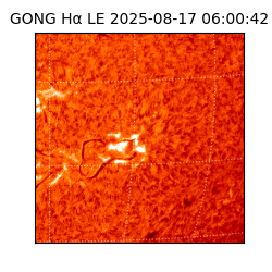 gong - 2025-08-17T06:00:42