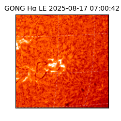 gong - 2025-08-17T07:00:42