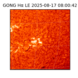 gong - 2025-08-17T08:00:42