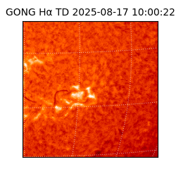 gong - 2025-08-17T10:00:22