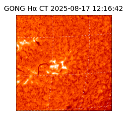 gong - 2025-08-17T12:16:42
