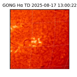 gong - 2025-08-17T13:00:22