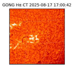 gong - 2025-08-17T17:00:42