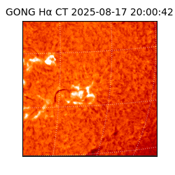 gong - 2025-08-17T20:00:42